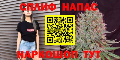 jwh Моздок