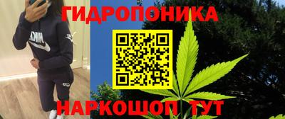 jwh Моздок