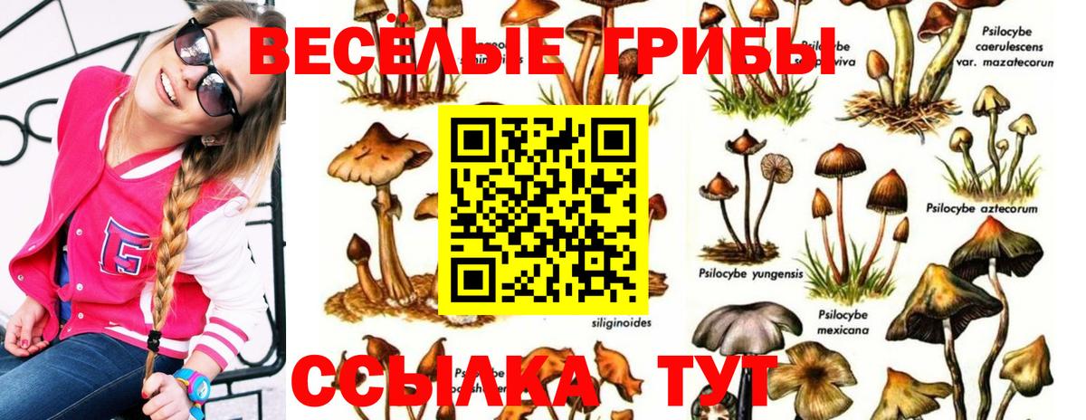 Псилоцибиновые грибы Psilocybine cubensis  Вход с VPN  Ревда  Псилоцибиновые грибы Cubensis 